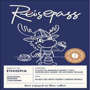 Papau New Guinea Birds of Paradise